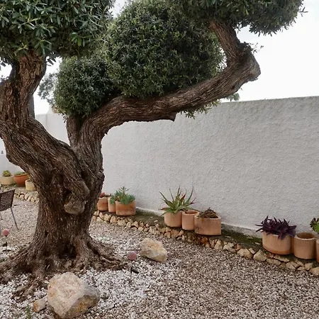 Villadoni: Comfortable, Hospitable, Relaxing Place Appartement Benissa